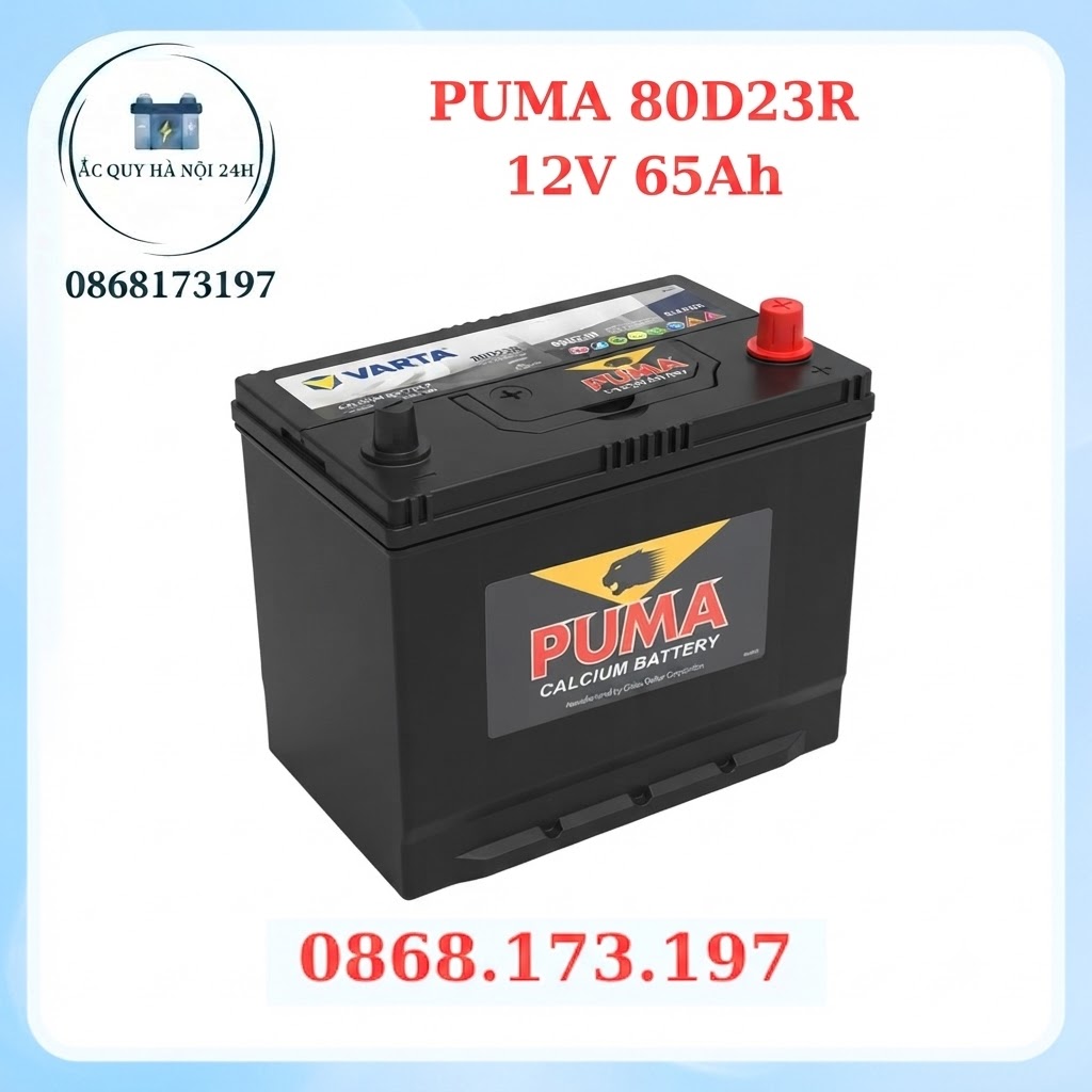 Ắc quy Puma 12V 65Ah 80D23R