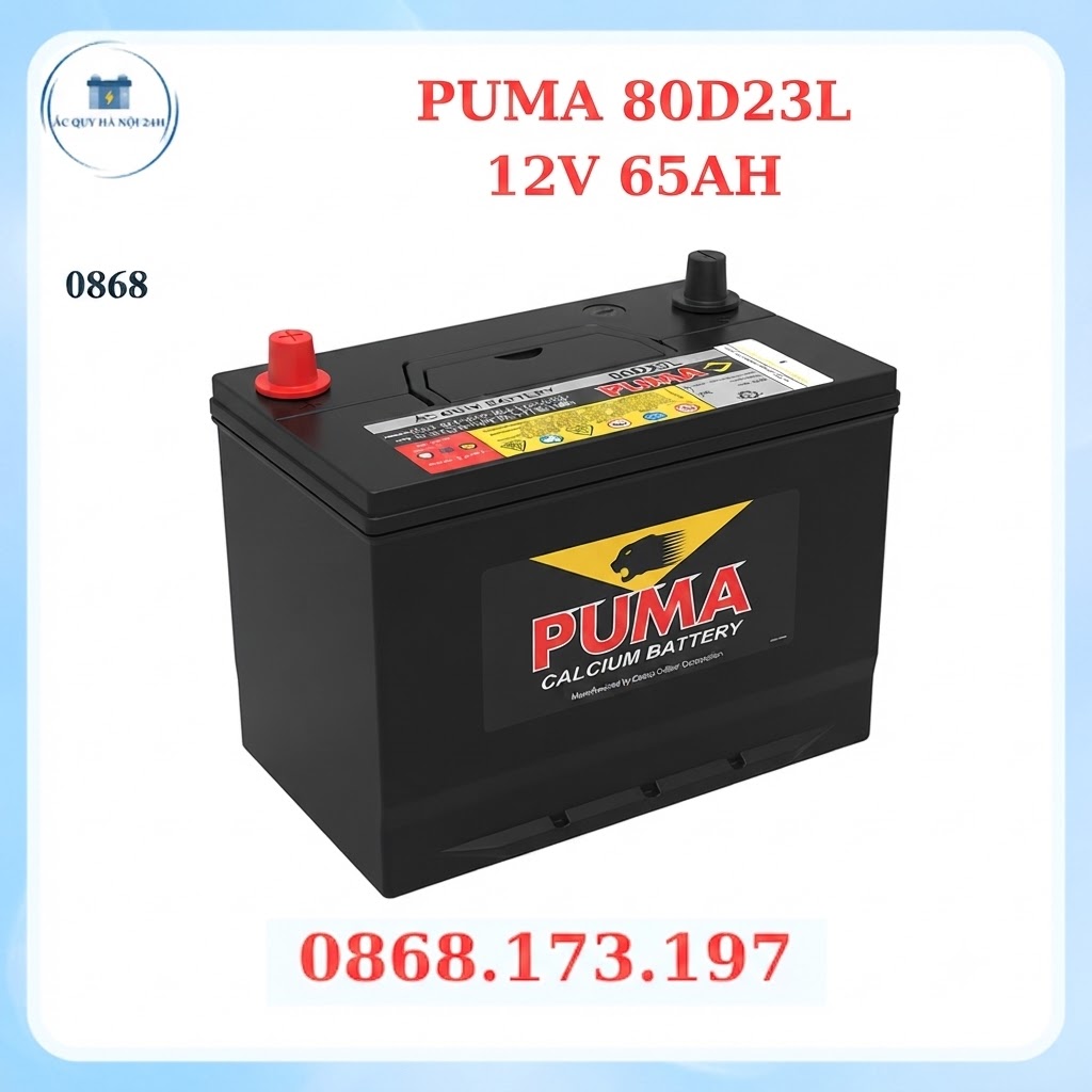 ẮC QUY PUMA 12V 65AH 80D23L