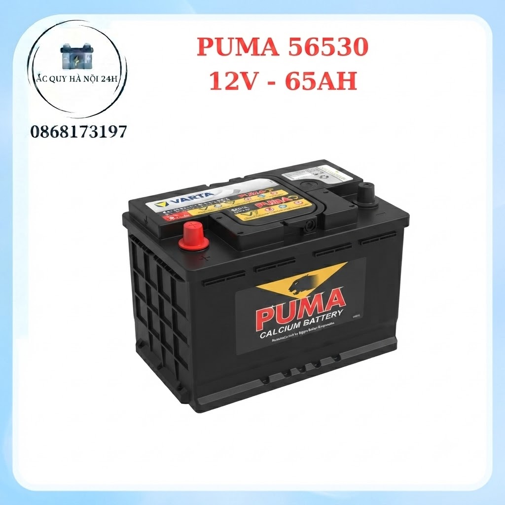 Ắc quy Puma 56530 (65Ah; 550CCA)